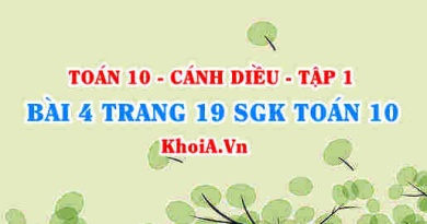 Bài 4 trang 19 SGK Toán 10 tập 1 Cánh Diều